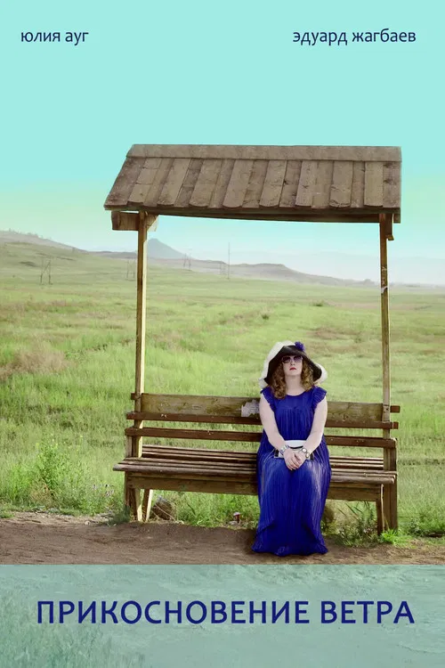 A Touch of Wind poster