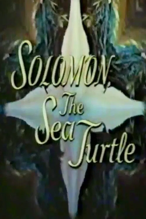 Solomon, the Sea Turtle poster