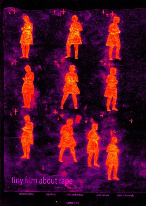 tiny film about rape poster