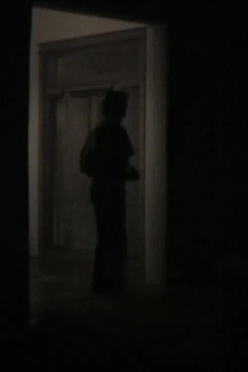 a film about nothing or my friend, jake, in new mexico poster