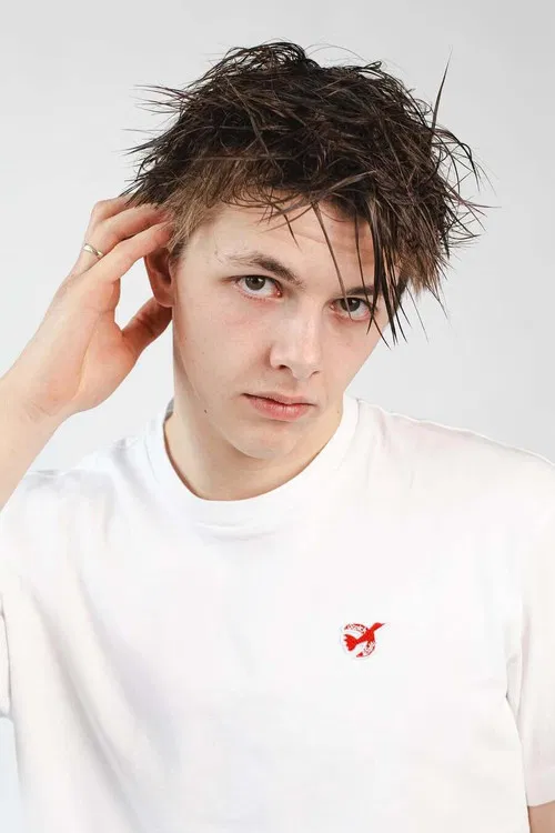 Domien Huybrechts profile