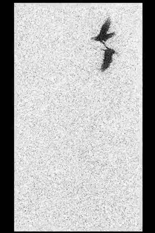 Of Dice and Men poster