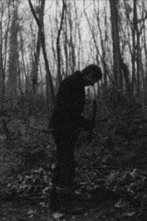 School for Fools poster