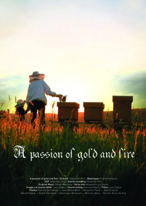 A Passion of Gold and Fire poster