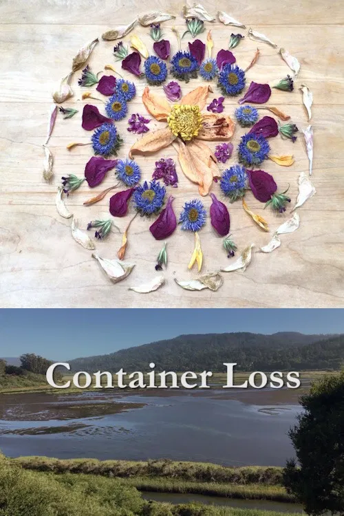 Container Loss poster