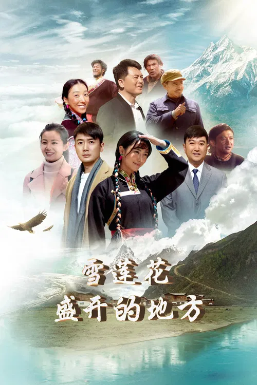 雪莲花盛开的地方 poster