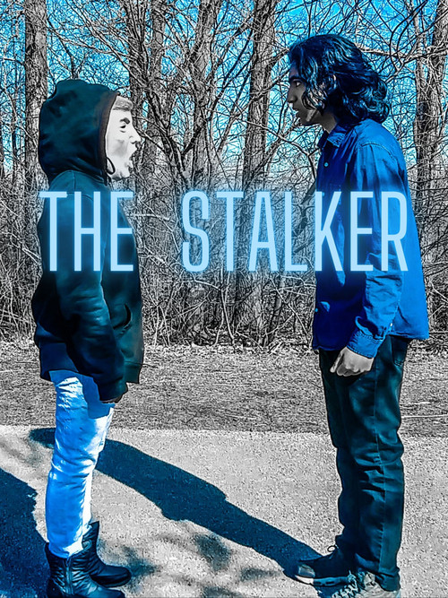 The Stalker poster