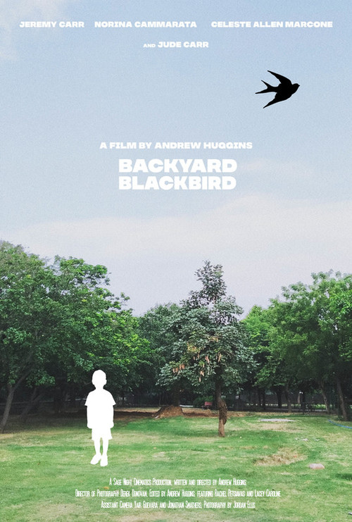 Backyard Blackbird poster