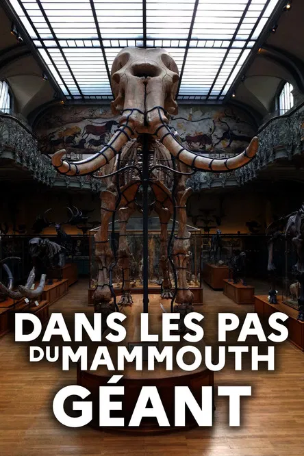 Dans les pas du mammouth géant poster