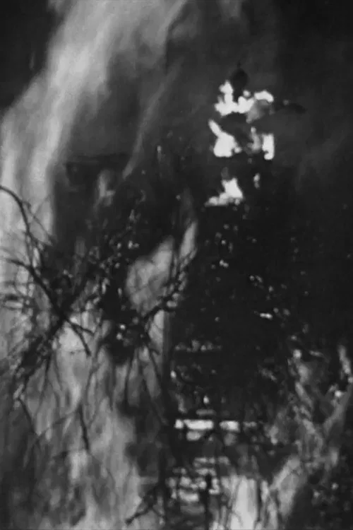 Hyacinth Girl poster