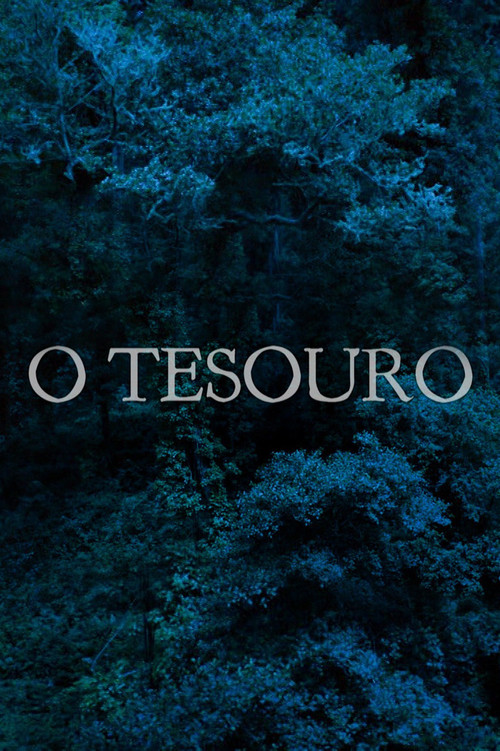 O Tesouro poster