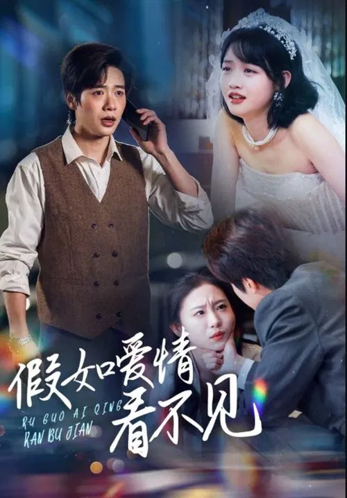 假如爱情看不见 poster