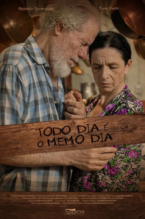 Todo Dia É O Memo Dia poster