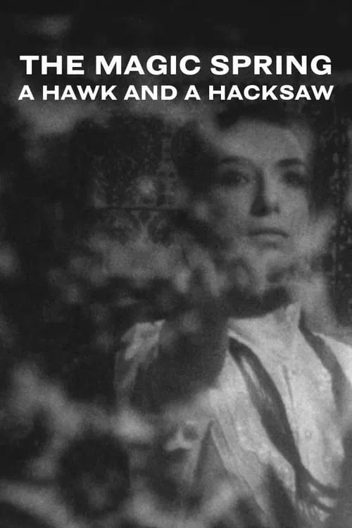 A Hawk and a Hacksaw - The Magic Spring poster
