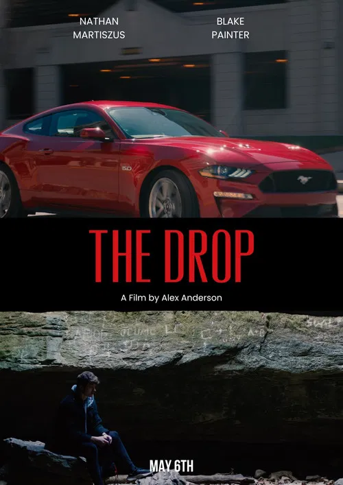 The Drop poster