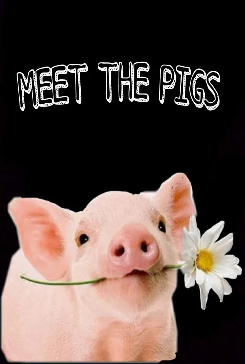 Meet the Pigs poster