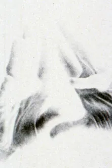 Pitchfork and the Devil poster