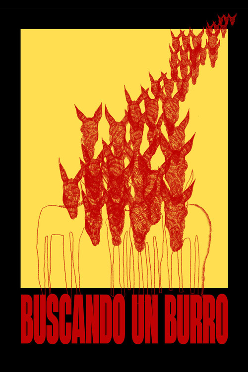 Looking for a Donkey poster