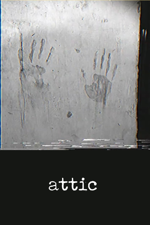 attic poster