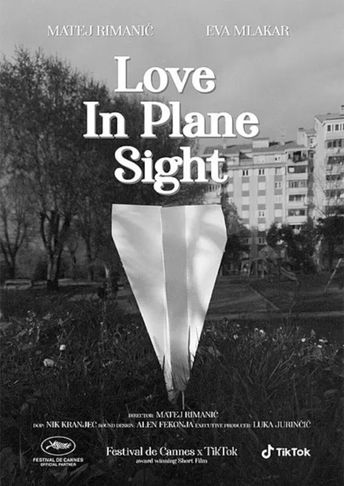 Love in Plane Sight poster