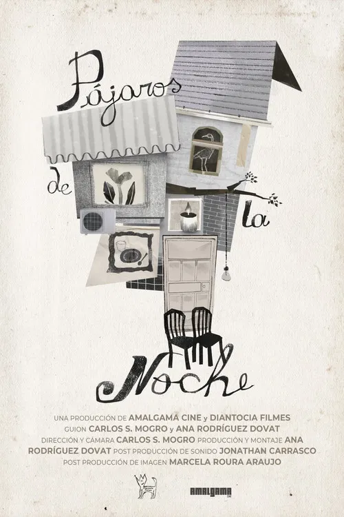 Pájaros de la noche poster