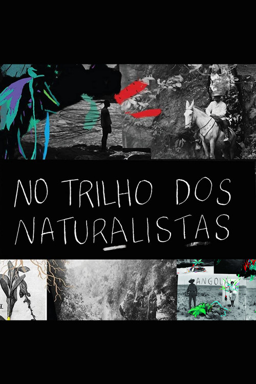 No Trilho dos Naturalistas: Angola poster