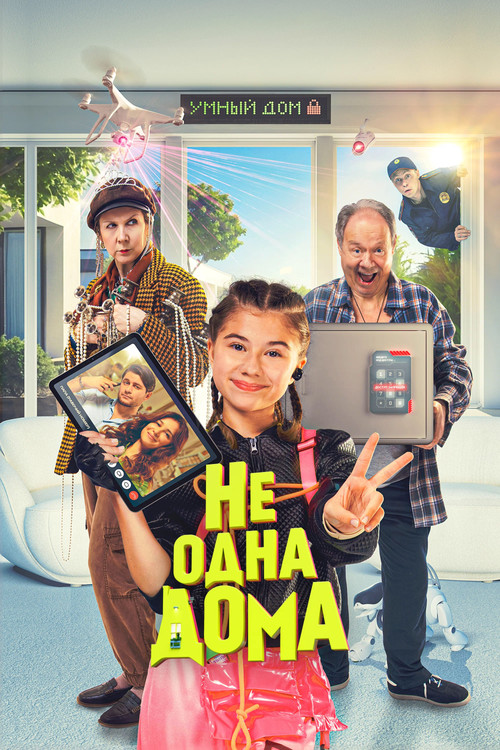 Not Home Alone poster