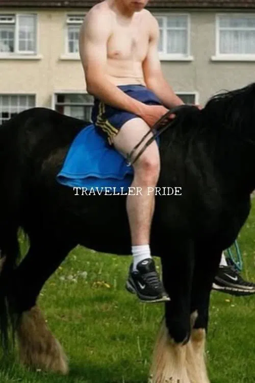 Untitled Traveller Pride Docudrama poster