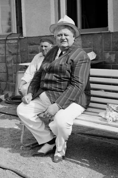 József Szendrő profile