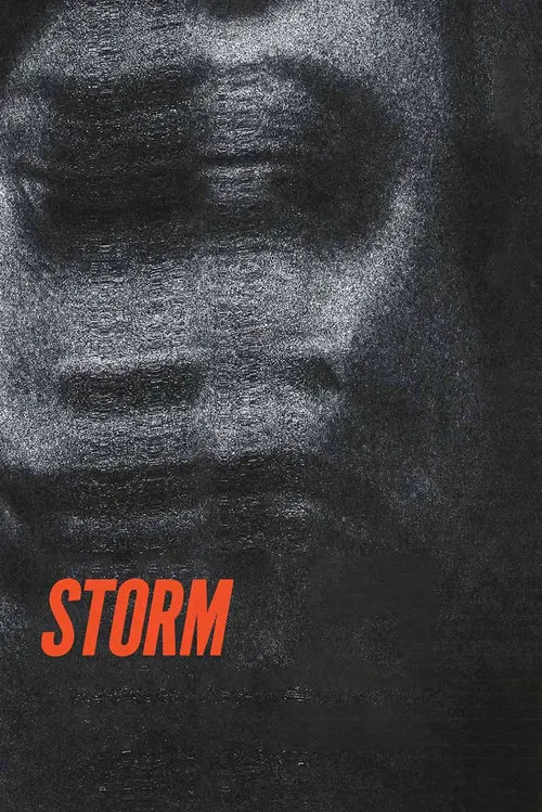 Storm poster