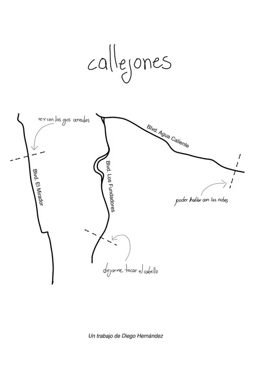 Callejones poster
