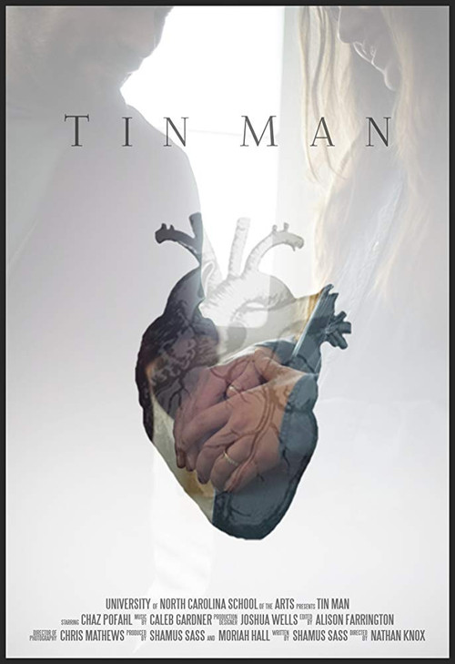 Tin Man poster