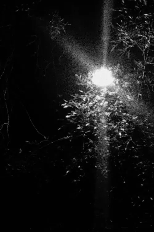 Nachtspaziergang poster