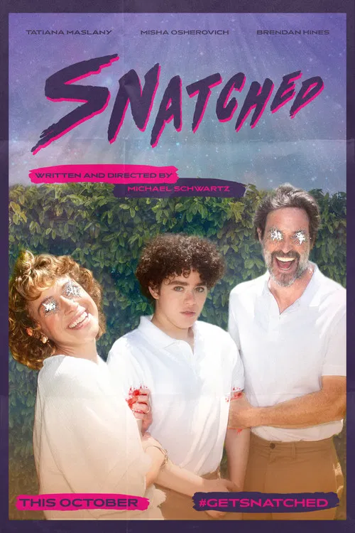 Snatched poster