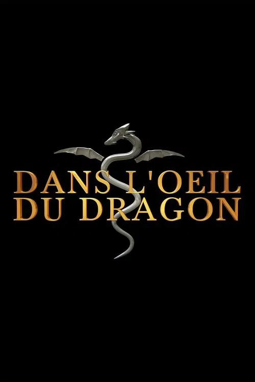 Dans l'oeil du dragon poster