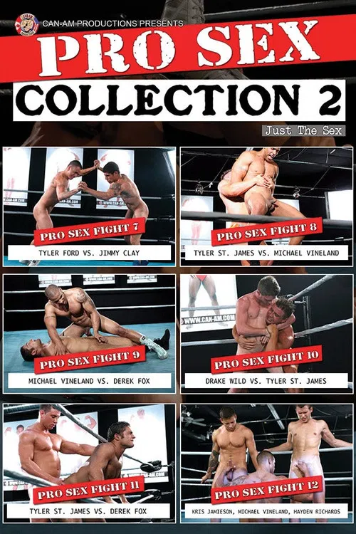 PRO SEX COLLECTION 2 poster
