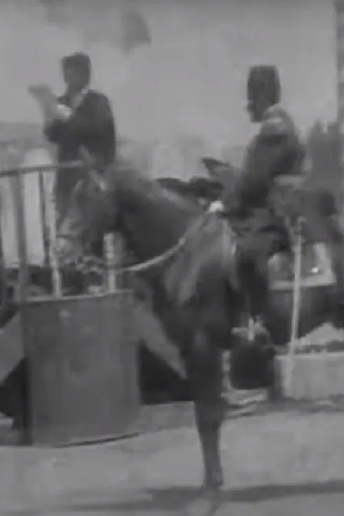 Turks' Hearing Speech on Hürriyet poster