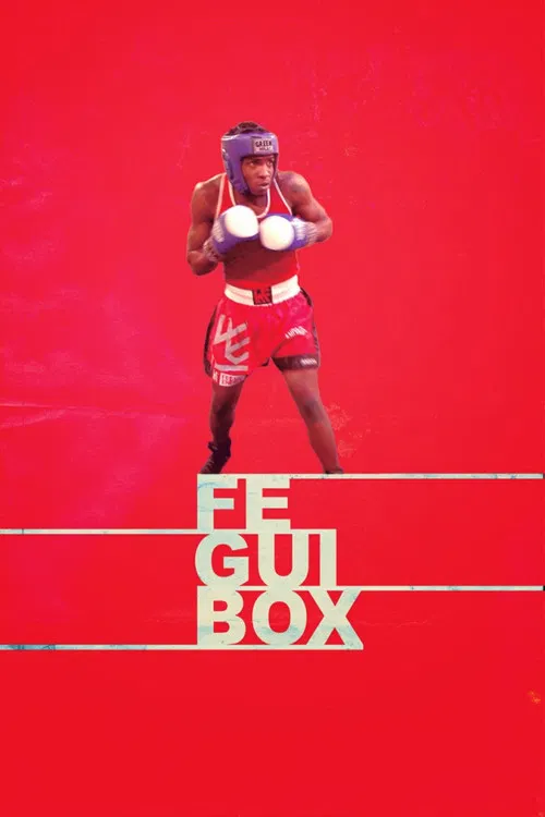 Feguibox poster