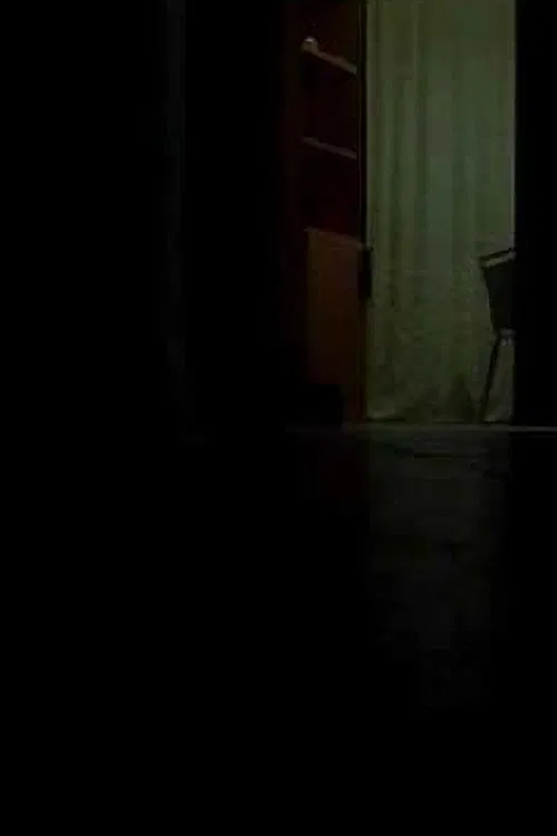 -Pursuit1.: Lui è grigio e deve nascondersi poster