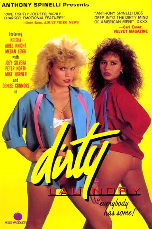 Dirty Laundry poster