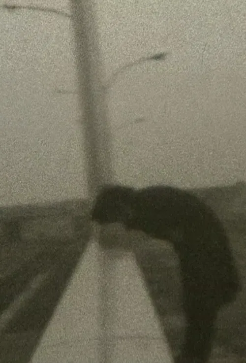 Industrial Area poster