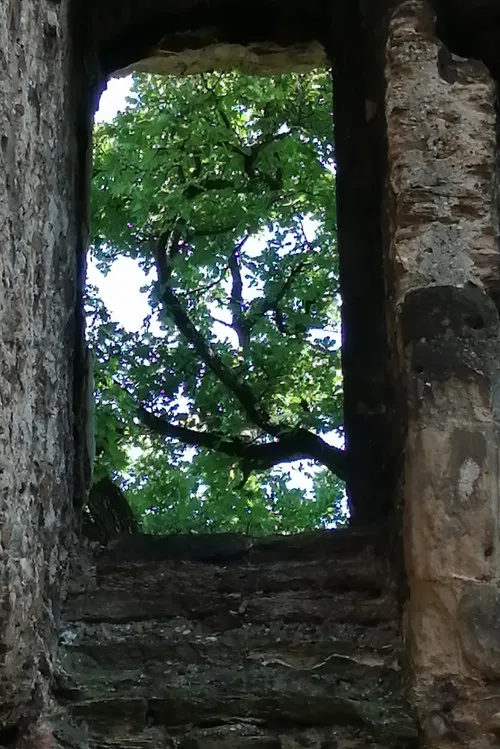 The Ruins of Seyssuel's Castle poster