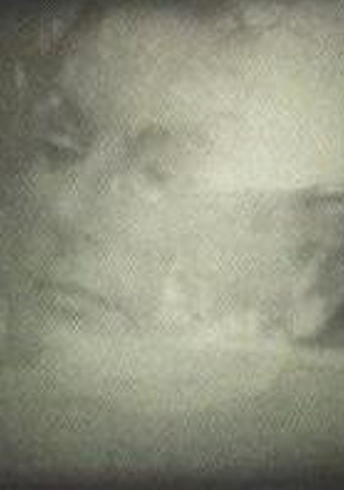 Yo veo conejos poster