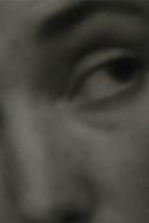 Whistling Flocks poster