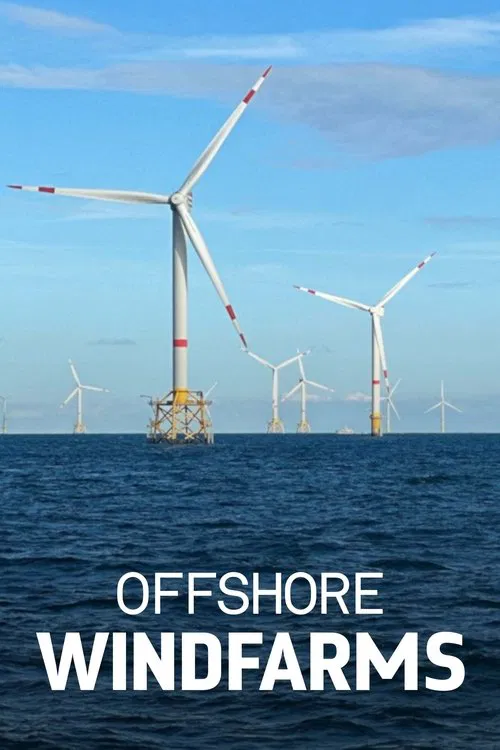 Windparks im Meer - Chance oder Risiko für die Natur? poster