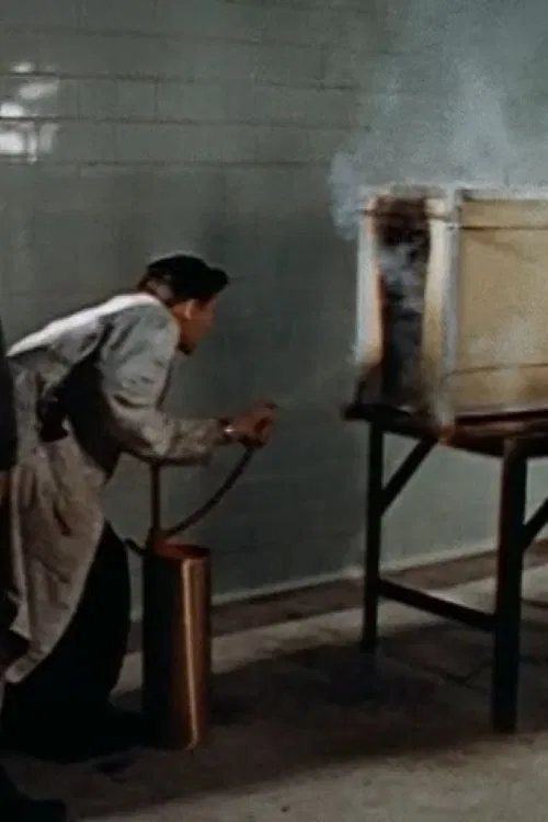 Setting Fires for Science poster