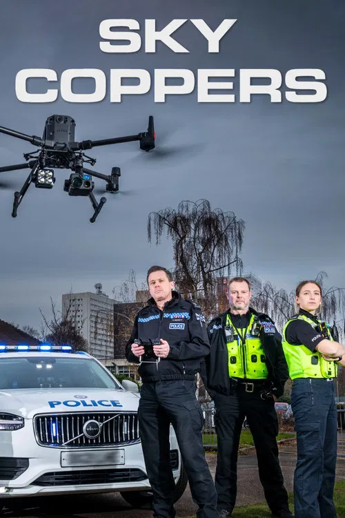 Sky Coppers poster