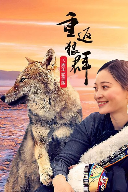 Return to the Wolves 10th Anniversary Special poster