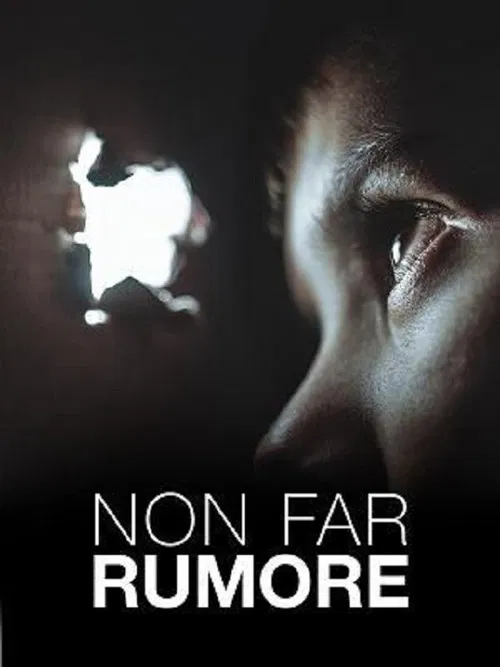 Non far rumore poster