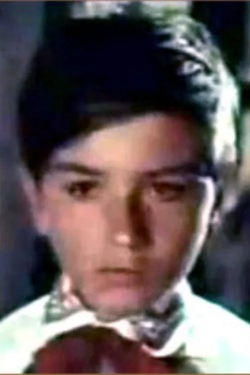 Răzvan Petrescu profile